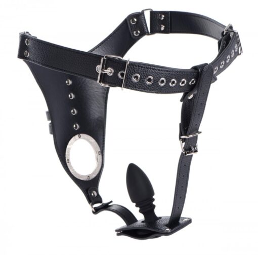 Strict Male Chastity Harness with Silicone Anal Plug - Image 4