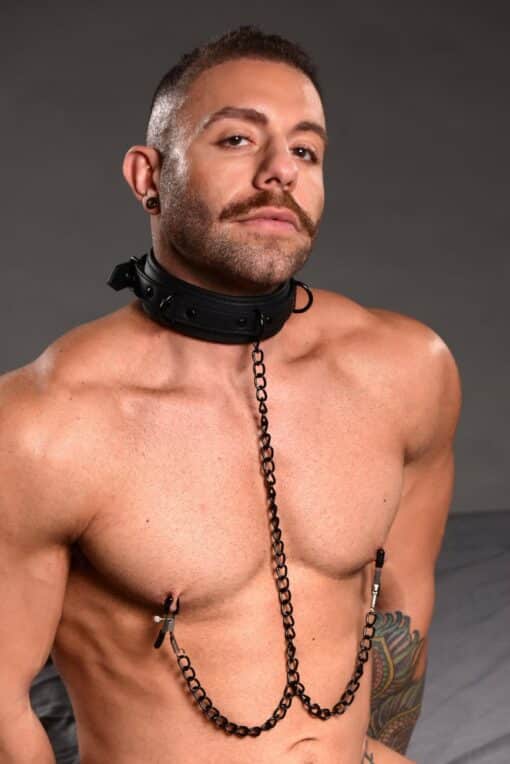 Master Series Collared Temptress Collar with Nipple Clamps - Black - Image 5