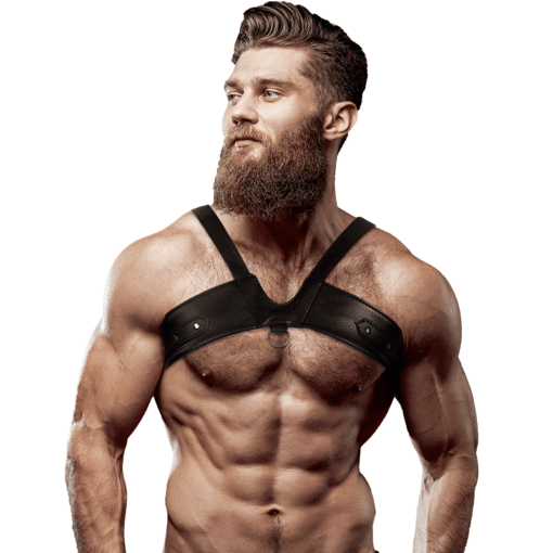 Men's Adjustable Eco-Leather Brigade Harness Nr 2