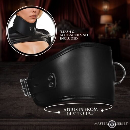 Master Series Hard Stance Padded Lock Posture Collar - Black - Image 3