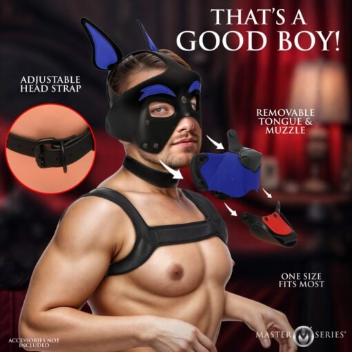 Master Series Alpha Dog Pup Hood - Blue - Image 3