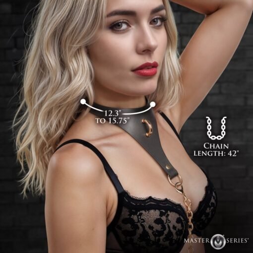 Master Series Captivate Collar with Body Chain - Black - Image 3