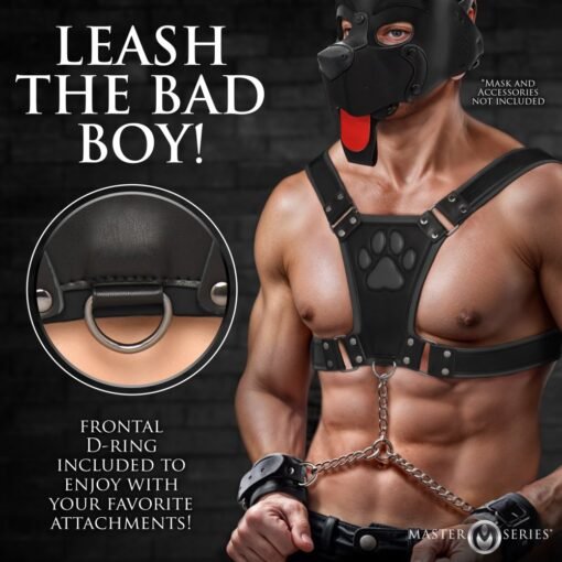 Master Series Alpha Pup Bulldog Harness - Black - Image 5