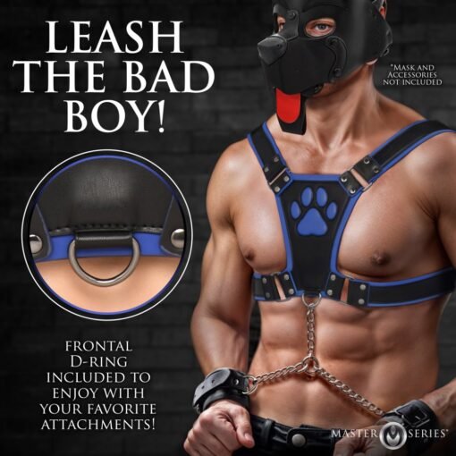 Master Series Alpha Pup Bulldog Harness - Blue - Image 5