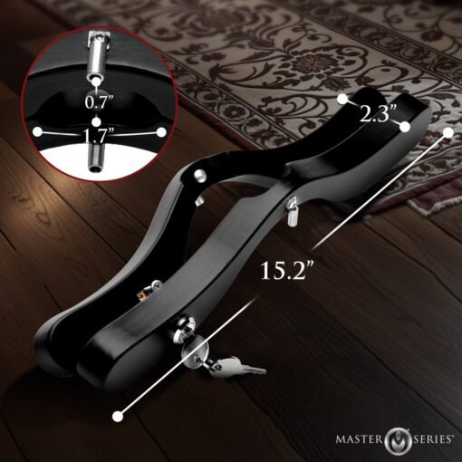 Master Series E-Stim Wooden Humbler - Black - Image 3