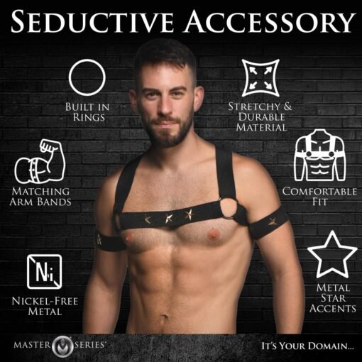 Master Series Rave Harness Elastic Chest Harness with Arm Bands - Large/X-Large - Black/Gold - Image 8