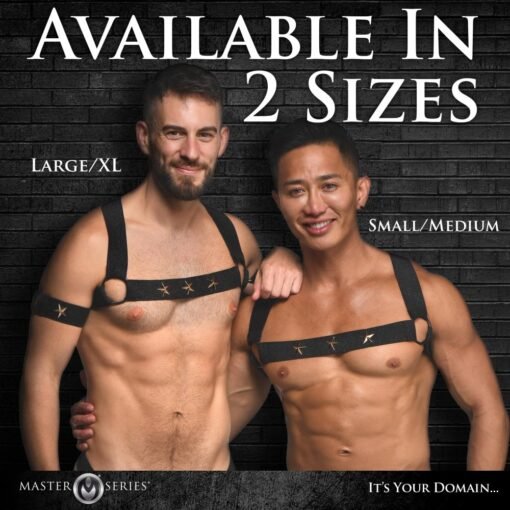Master Series Rave Harness Elastic Chest Harness with Arm Bands - Large/X-Large - Black/Gold - Image 6