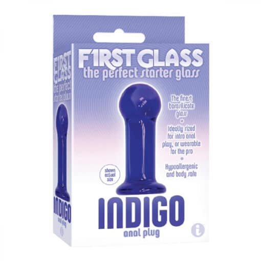 The 9’s – First Glass Anal Plug Indigo