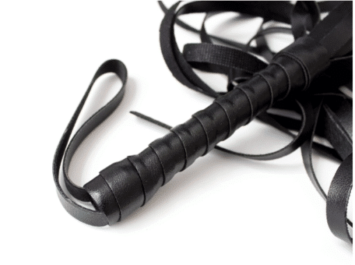Fetish Boutique Black Deluxe Flogger (45CM) - Image 3